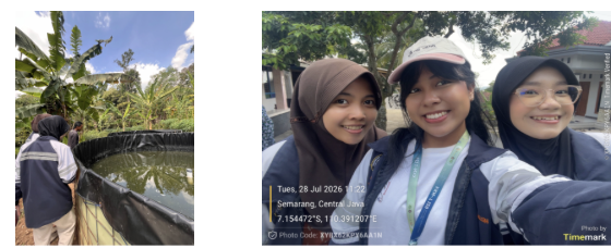 Membeli bibit lele