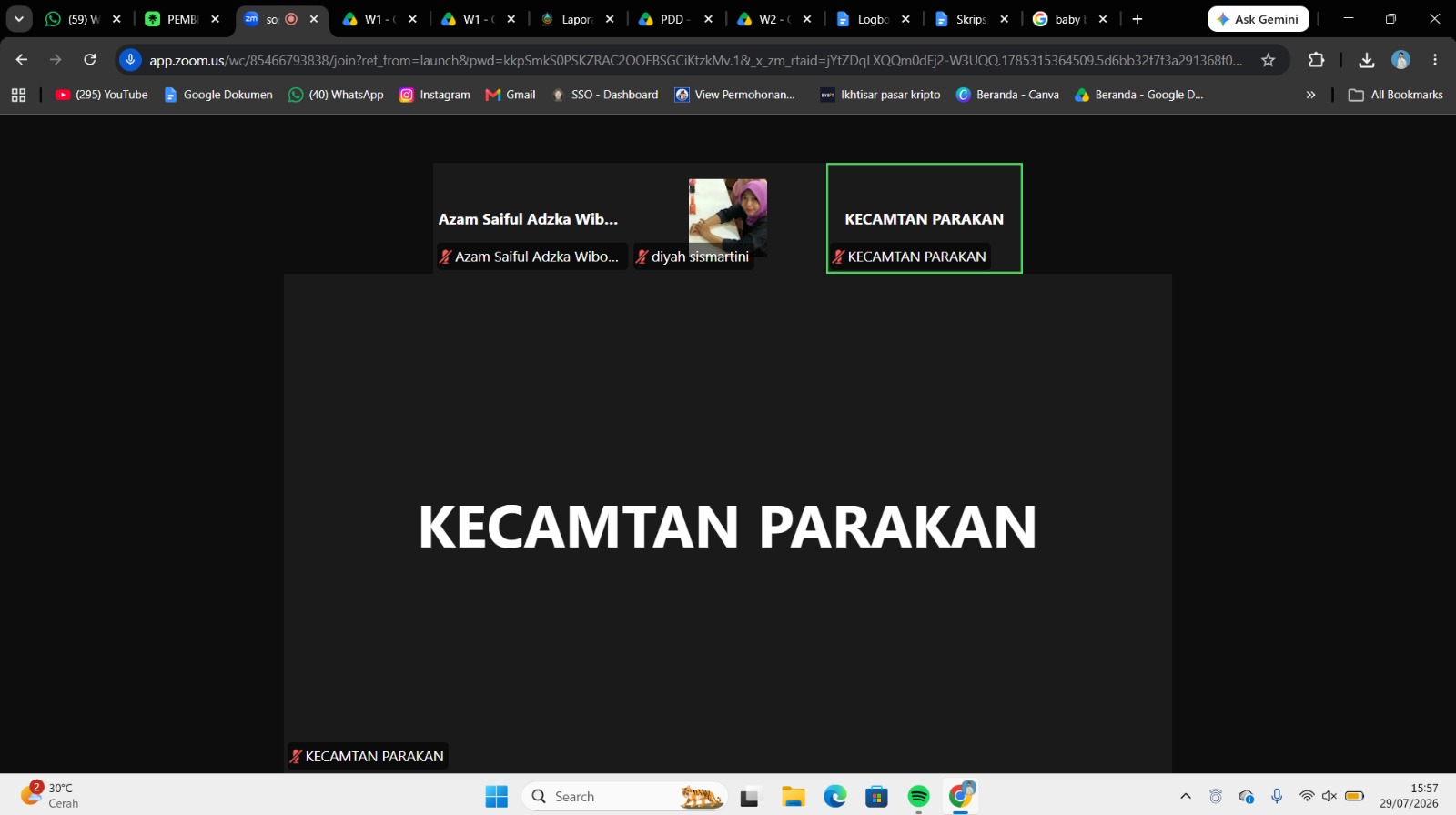Pemaparan Somas Suci, Pembuatan Pestisida & Zoom