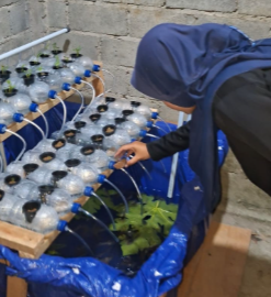 Pemasangan dan Pemantauan Sistem Akuaponik serta Pengembangan Program Kerja Sosial Kemasyarakatan